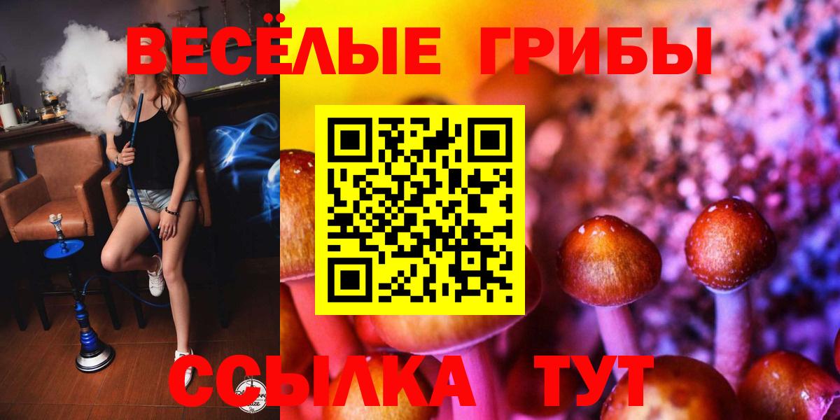 Галлюциногенные грибы прущие грибы Лысьва